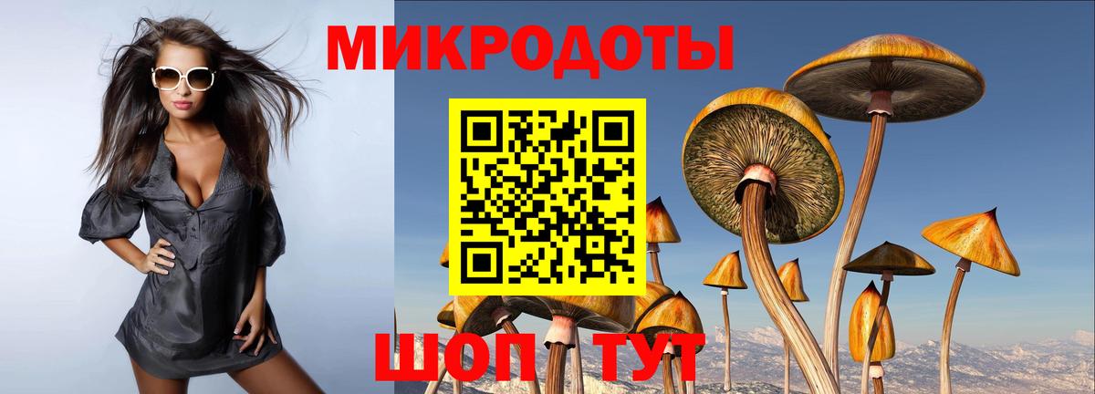 Псилоцибиновые грибы мицелий Волжск